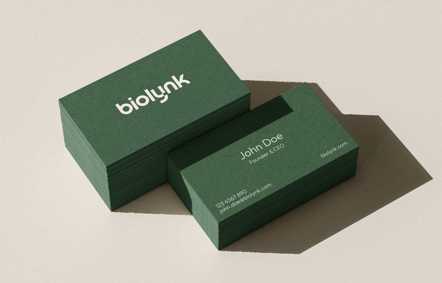 Biolynk renewable energy company logo branding project business card mockup