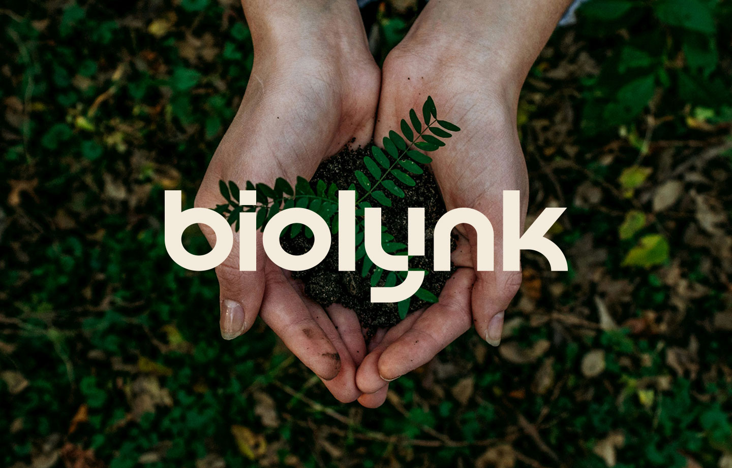 Biolynk renewable energy company logo branding project mockup